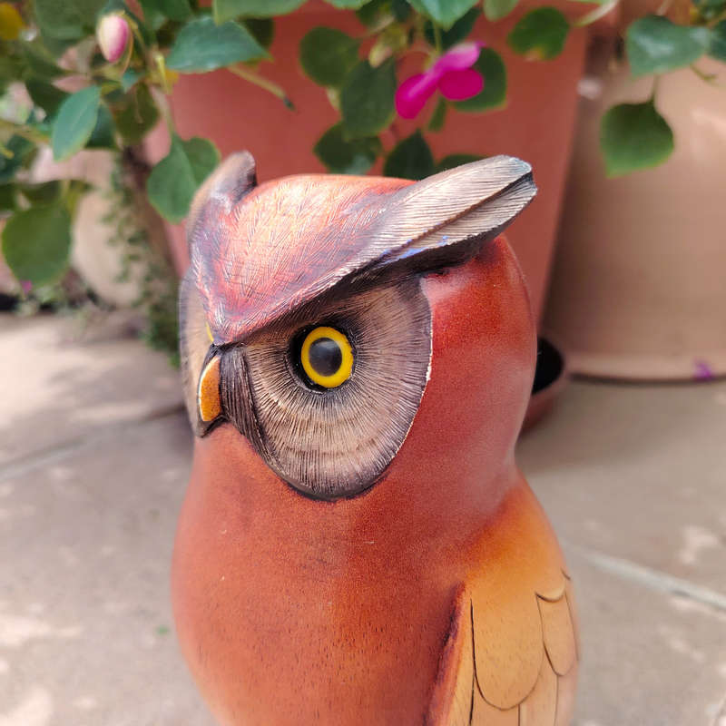 Feathers of Knysna carved and hand painted Male Owl Ltd Bird
