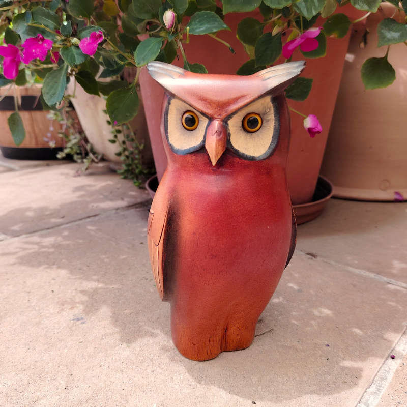 Feathers of Knysna carved and hand painted Male Owl Ltd Bird