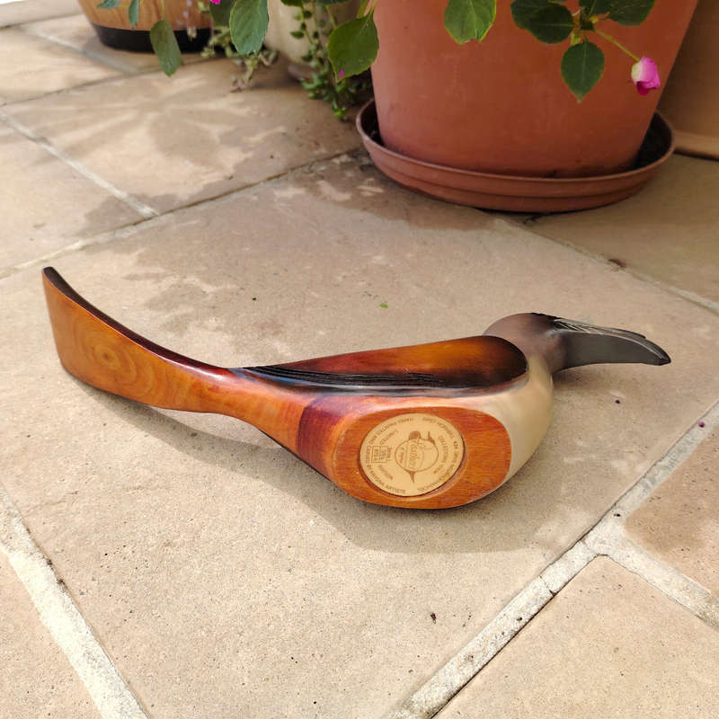 Feathers of Knysna carved and hand painted Female Grey Hornbill Ltd Bird