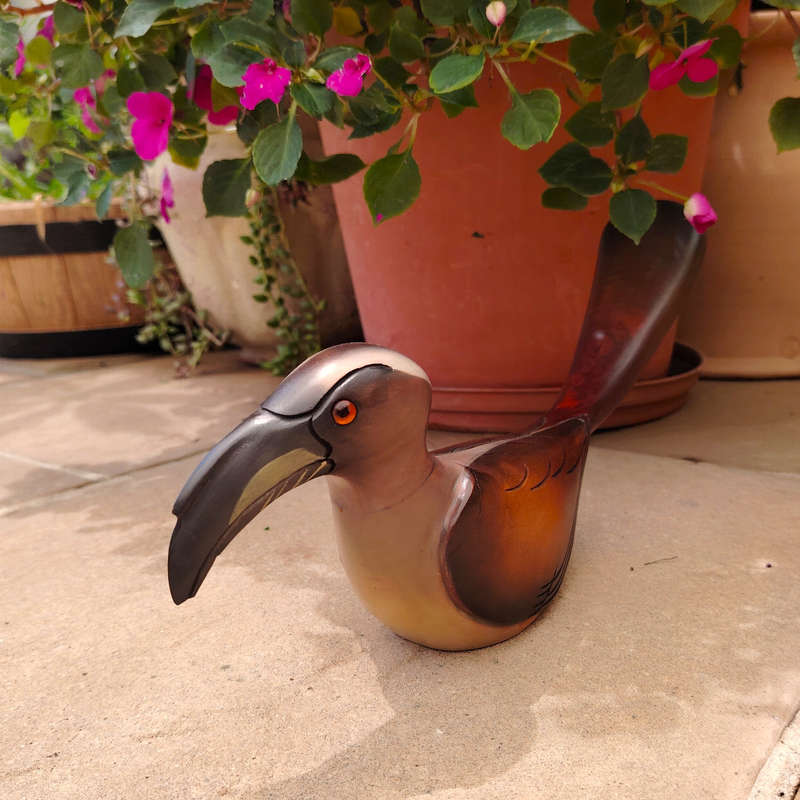 Feathers of Knysna carved and hand painted Female Grey Hornbill Ltd Bird