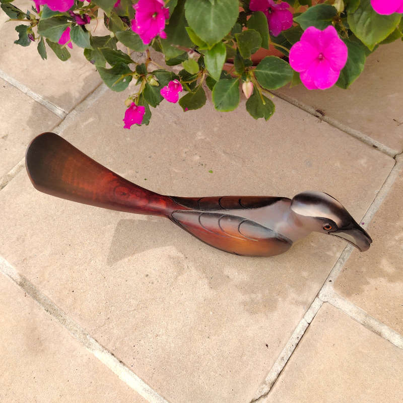 Feathers of Knysna carved and hand painted Female Grey Hornbill Ltd Bird