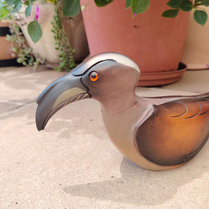 Feathers of Knysna carved and hand painted Female Grey Hornbill Ltd Bird