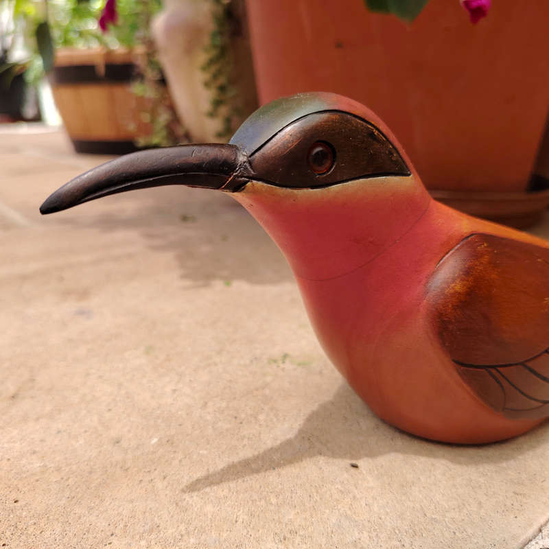 Feathers of Knysna carved and hand painted Female Carmine Bee Eater Ltd Bird