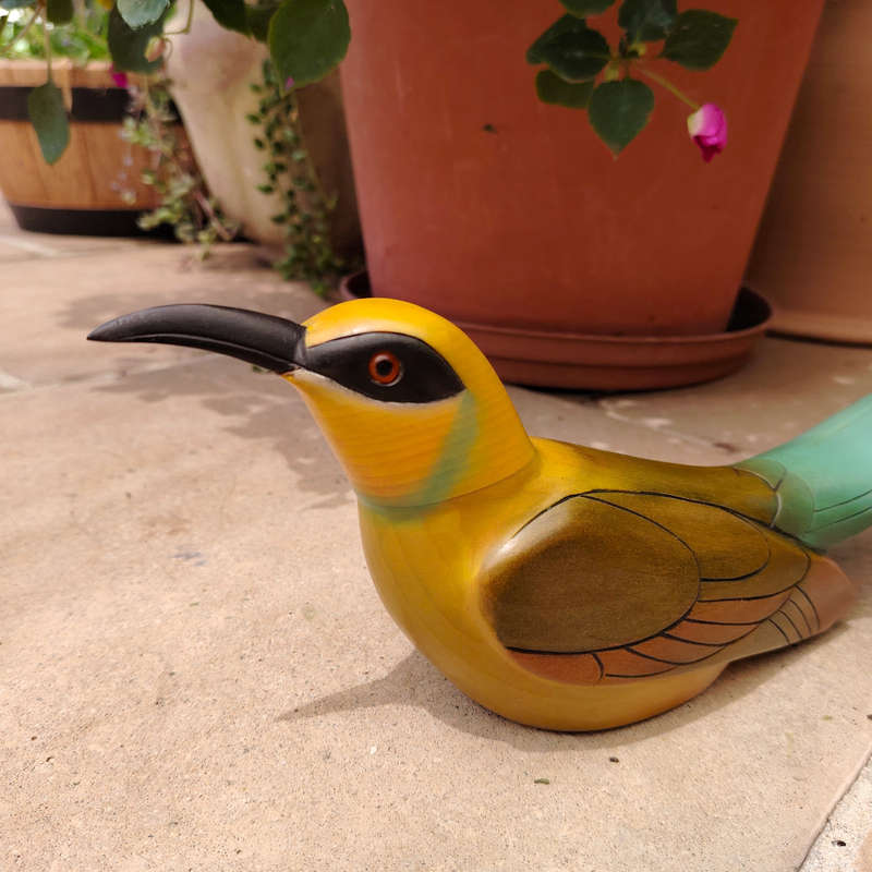 Feathers of Knysna carved and hand painted Male Swallowtail Bee-Eater Ltd Bird