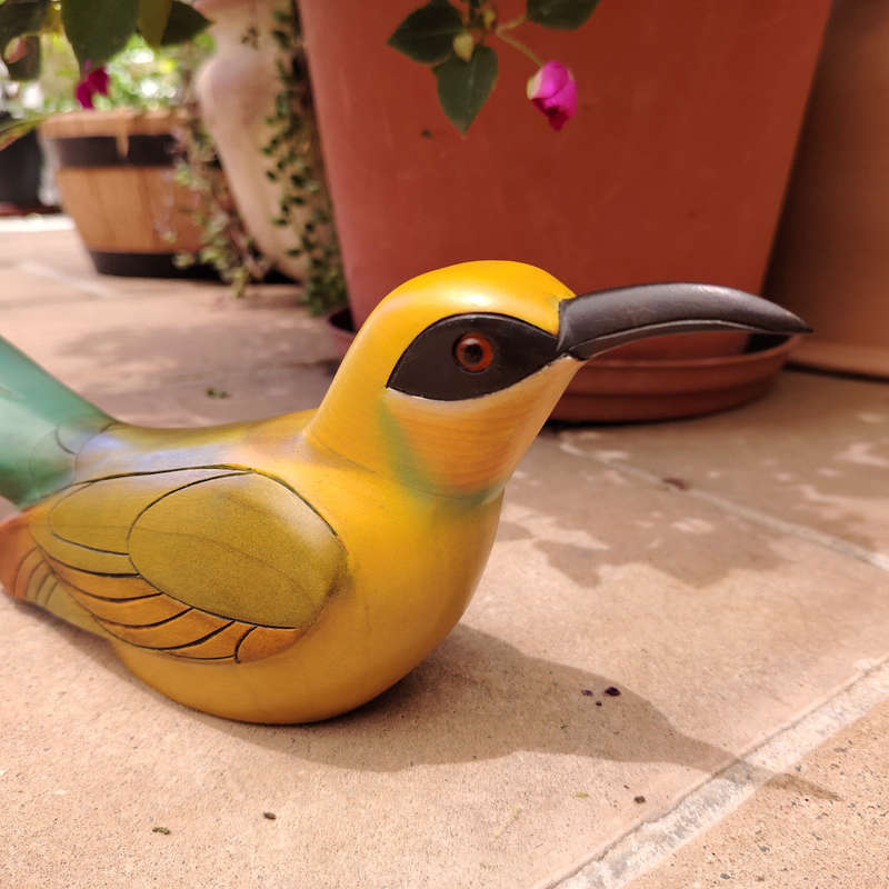 Feathers of Knysna carved and hand painted Male Swallowtail Bee-Eater Ltd Bird
