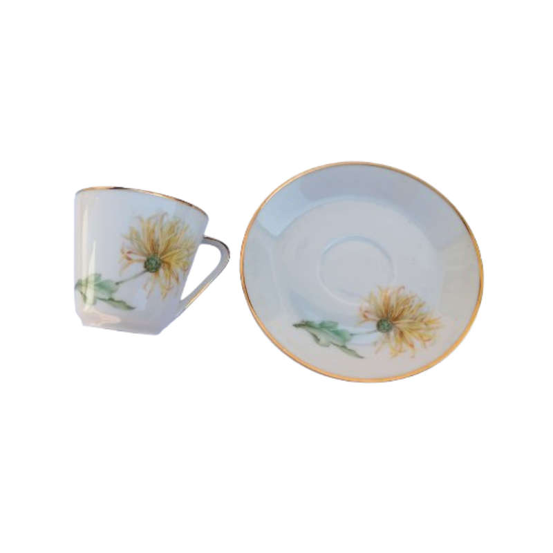 Hutschenreuther Selb Bavaria German Bone Noblesse Coffee Set