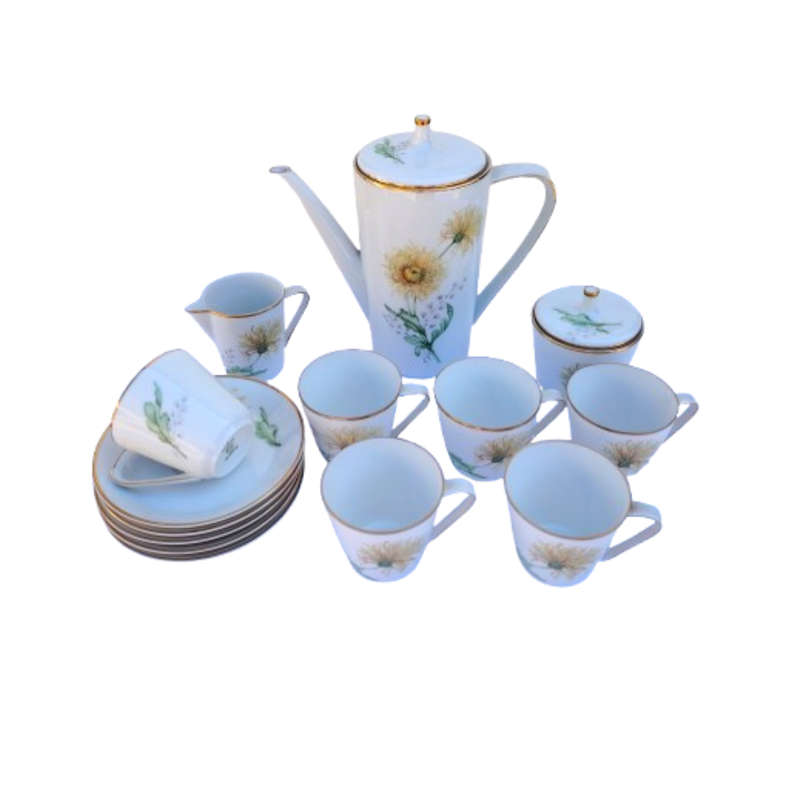 Hutschenreuther Selb Bavaria German Bone Noblesse Coffee Set