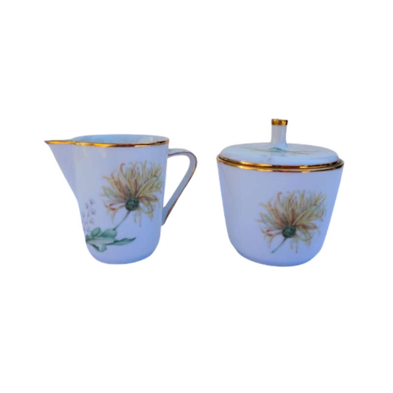 Hutschenreuther Selb Bavaria German Bone Noblesse Coffee Set