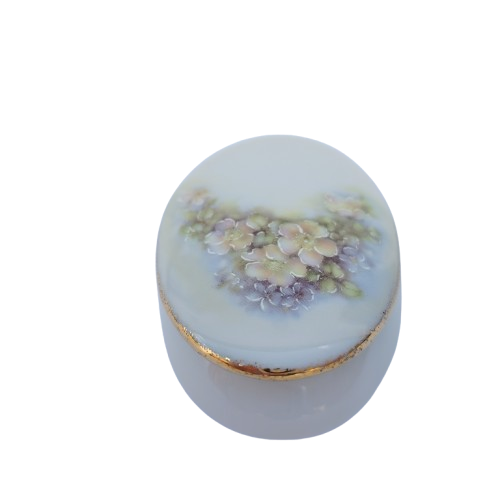 Limoges Porcelain Oval Trinket Box and Lid