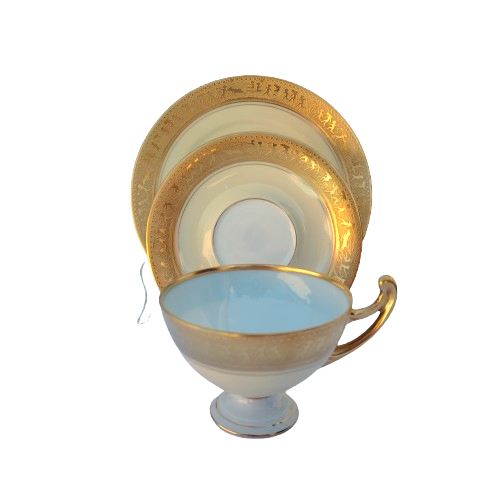 Beautiful Epiag Royal Czechoslovakia Yellow and Gilt Rim Trio