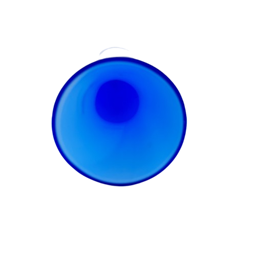 Blue and White Interior Hand Blown Vase