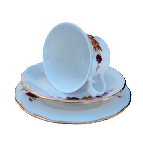 Queen Anne Bone China Trio
