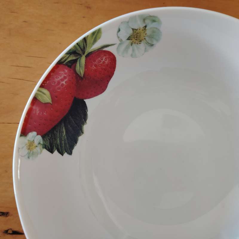 Living Art by Stoneage Australia Fine Bone China Bowls