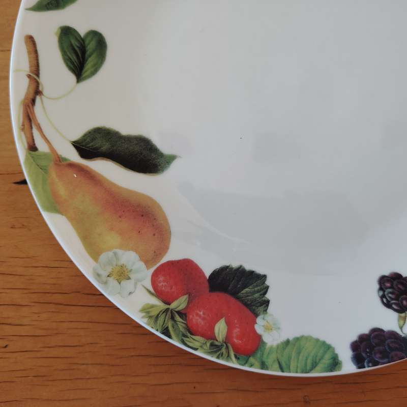 Living Art by Stoneage Australia Fine Bone China Dinner Plate