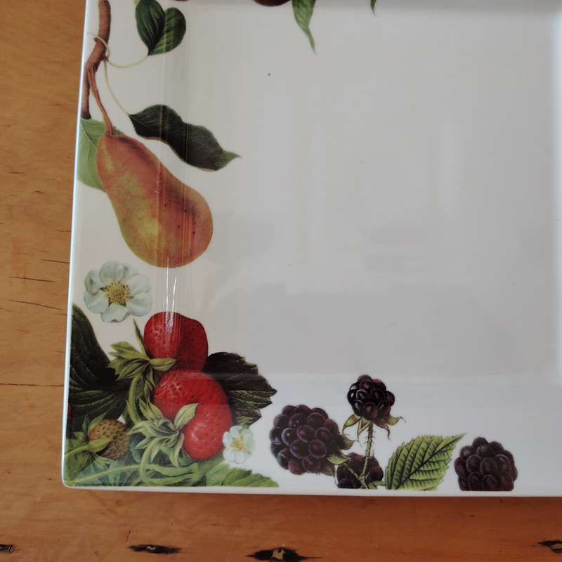Living Art by Stoneage Australia  Fine Bone China Large Square Plate