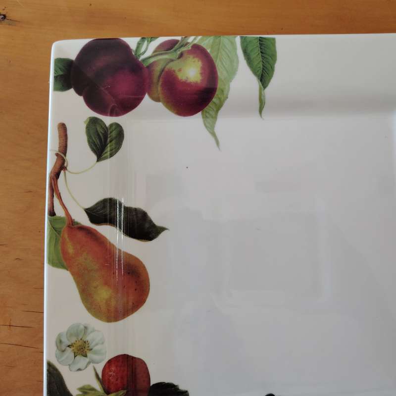 Living Art by Stoneage Australia  Fine Bone China Large Square Plate