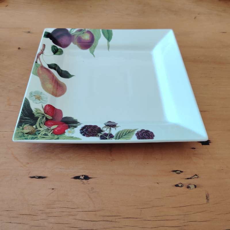 Living Art by Stoneage Australia  Fine Bone China Large Square Plate