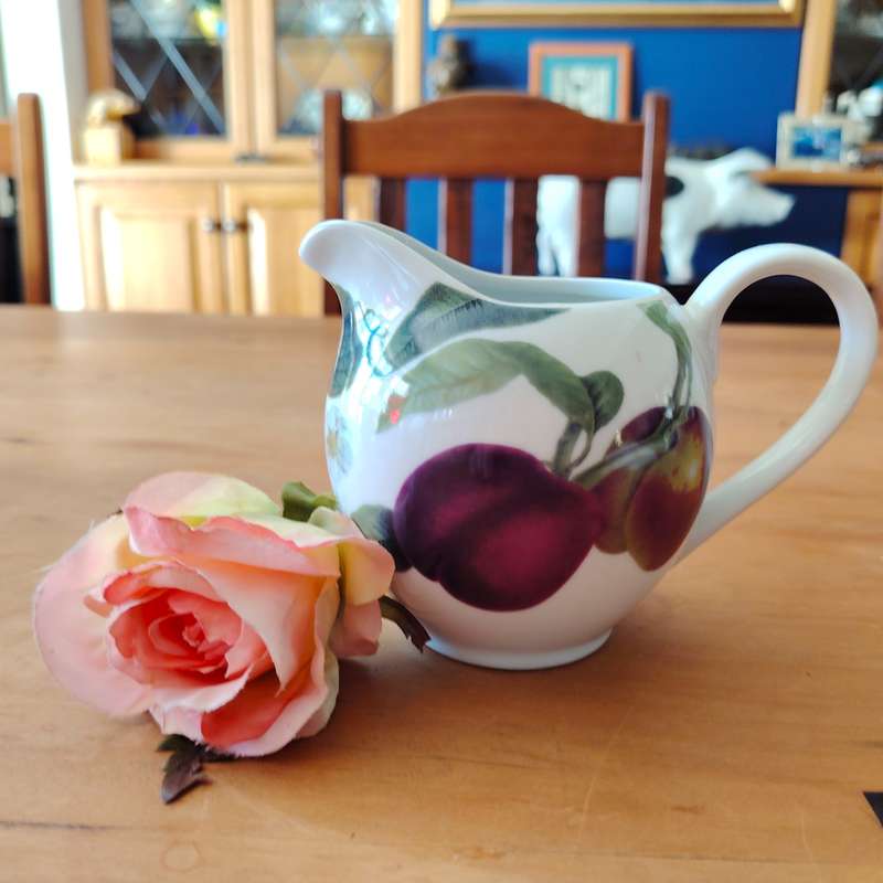 Living Art by Stoneage Australia  Fine Bone China Milk Jug