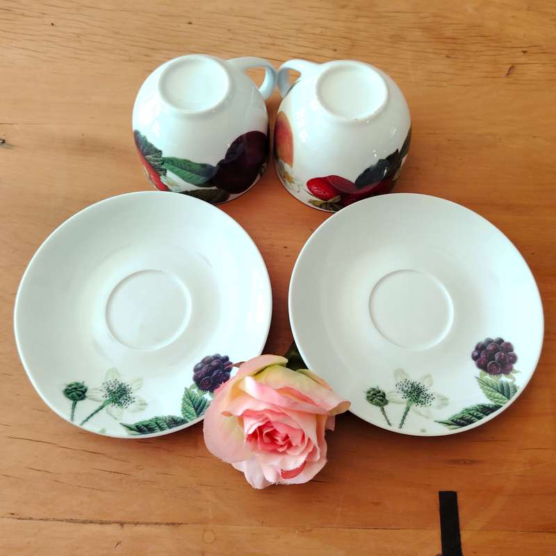 Living Art by Stoneage Australia  Fine Bone China Duo's