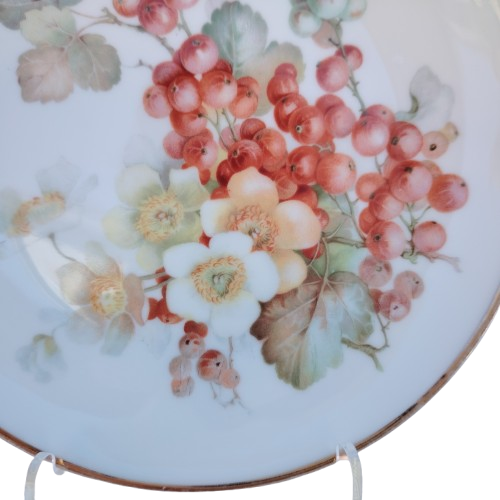 Thomas Bavaria Decorative 6 x Plates Fruit & Flowers