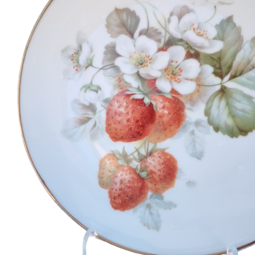 Thomas Bavaria Decorative 6 x Plates Fruit & Flowers