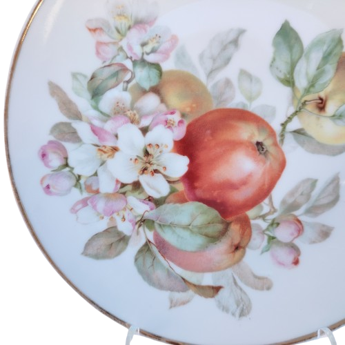 Thomas Bavaria Decorative 6 x Plates Fruit & Flowers