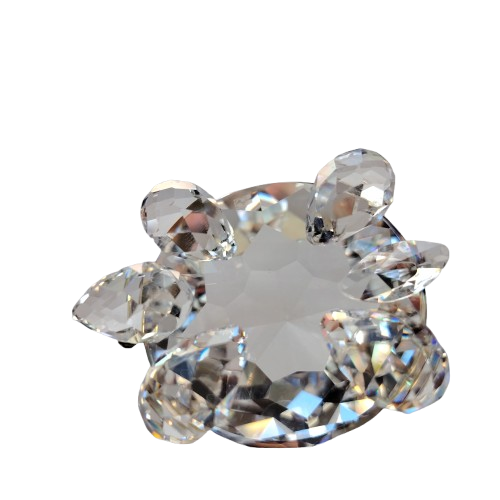 Swarovski Crystal Large Tortoise Turtle Endangered Species