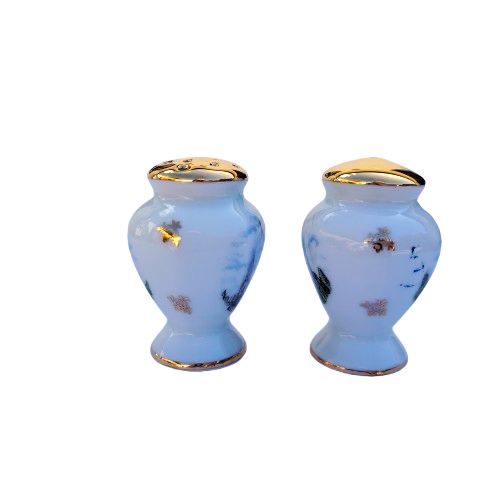 Limoges Paris Porcelain Salt and Pepper Pots