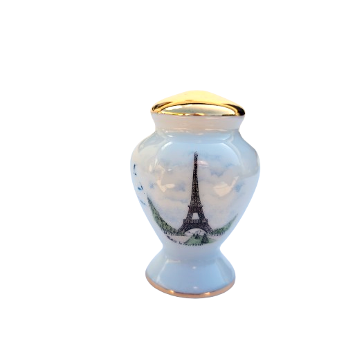 Limoges Paris Porcelain Salt and Pepper Pots