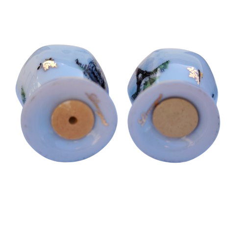Limoges Paris Porcelain Salt and Pepper Pots