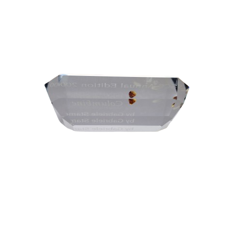 Swarovski Crystal Annual Edition Masquerade 2000 Columbine Plaque