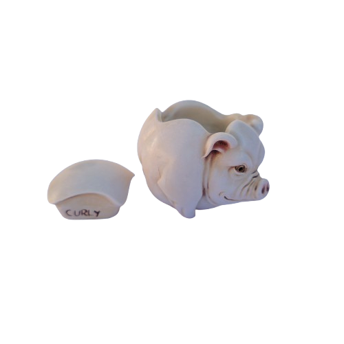 Roly Poly Curly Pig Trinket Jest Box Harmony Kingdom