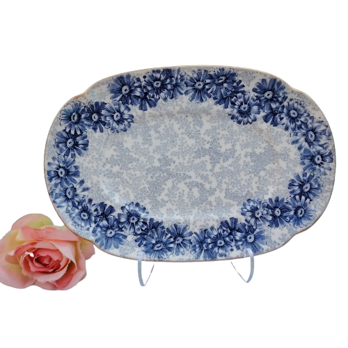 Antique Royal Worcester Vitreous Serving Platter Circa 1891