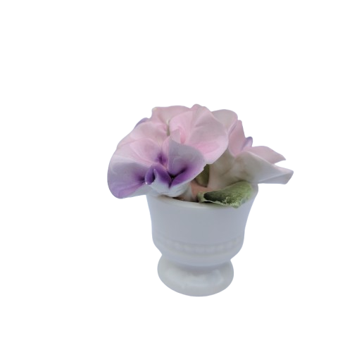 Crown Staffordshire Bone China Floral Pot of Flowers