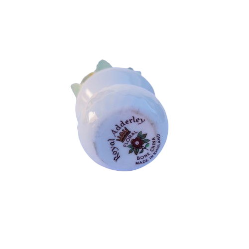 Royal Adderley Bone China  Flowers in White Pot