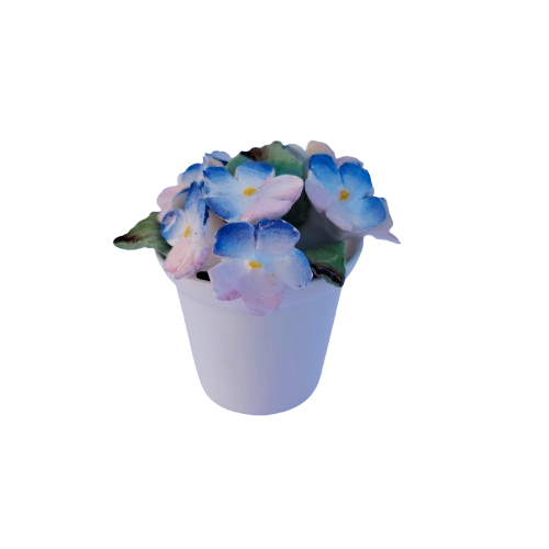 Royale Stratford Bone China Flowers in White Pot
