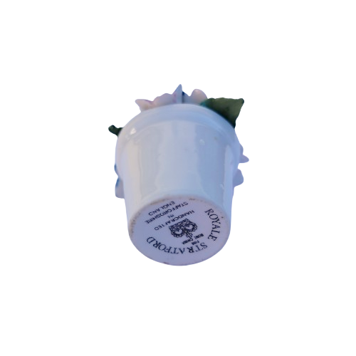 Royale Stratford Bone China Flowers in White Pot