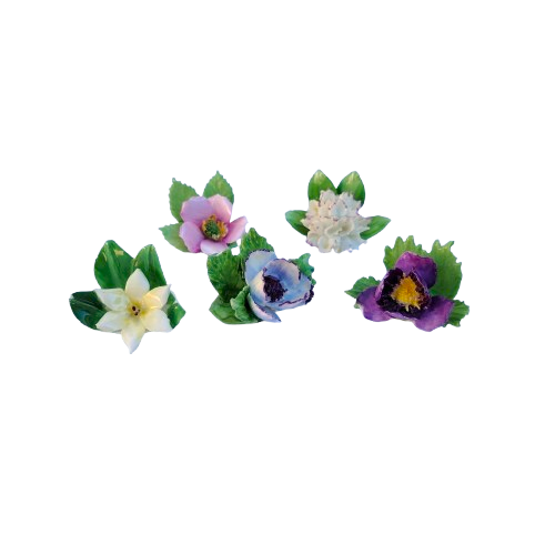 Royal Adderley Bone China Floral Place Setting