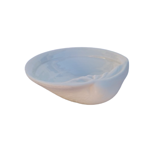 Luna Porcelain Large Shell Dish