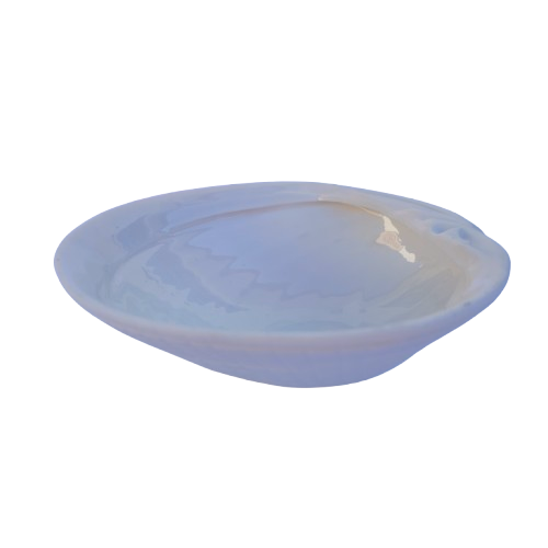 Luna Porcelain Large Shell Dish