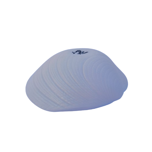 Luna Porcelain Large Shell Dish