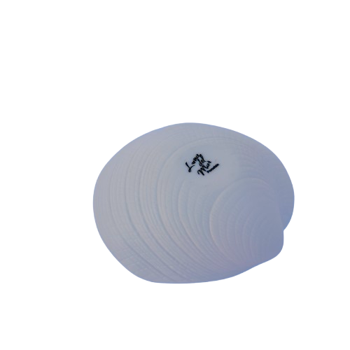 Luna Porcelain Large Shell Dish