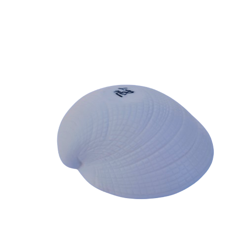 Luna Porcelain Large Shell Dish