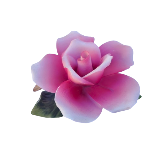 Capodimonte Porcelain Delicate Pink Roses