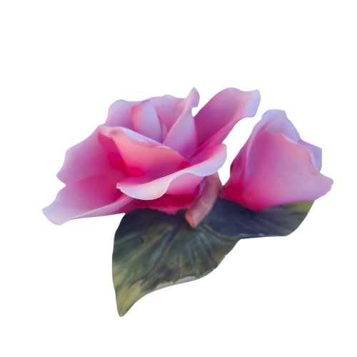 Capodimonte Porcelain Delicate Pink Roses