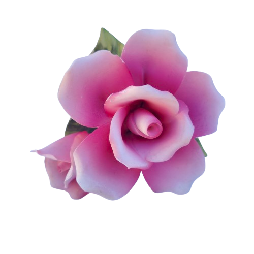 Capodimonte Porcelain Delicate Pink Roses