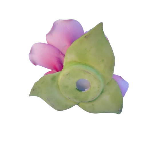 Capodimonte Porcelain Delicate Pink Roses