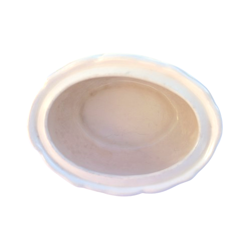 Carlton Ware white Oak leaf lidded sugar bowl with under plate