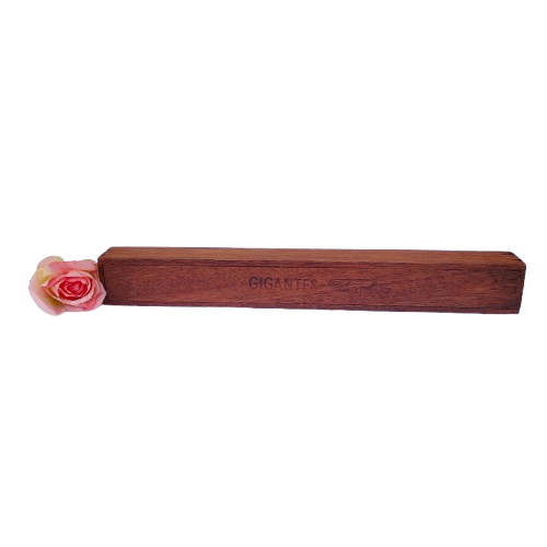Very Large original Gigantes Tabacalera Cigar in original wooden case