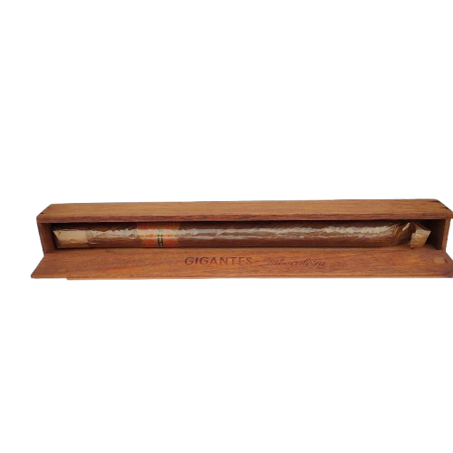 Very Large original Gigantes Tabacalera Cigar in original wooden case